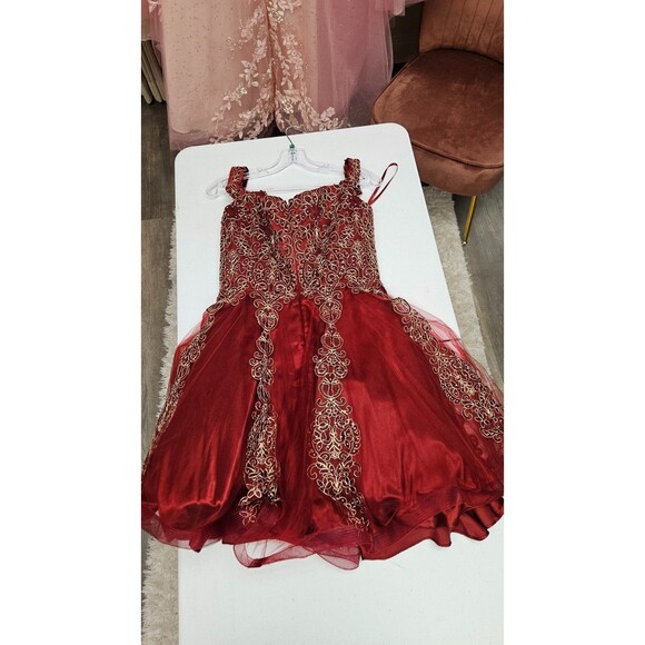 NWOT Anny Lee Red Sleeveless V Neckline Zipper Embroidered Women's Dress Size L - Picture 3 of 7